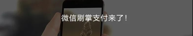 买POS机为上百人养卡2000余万,法院判了!(图6) 买POS机为上百人养卡2000余万,法院判了!(图6)