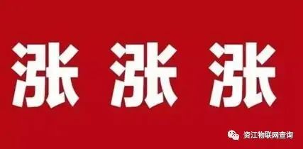 韭菜刚发芽，又要迎来第三波镰刀